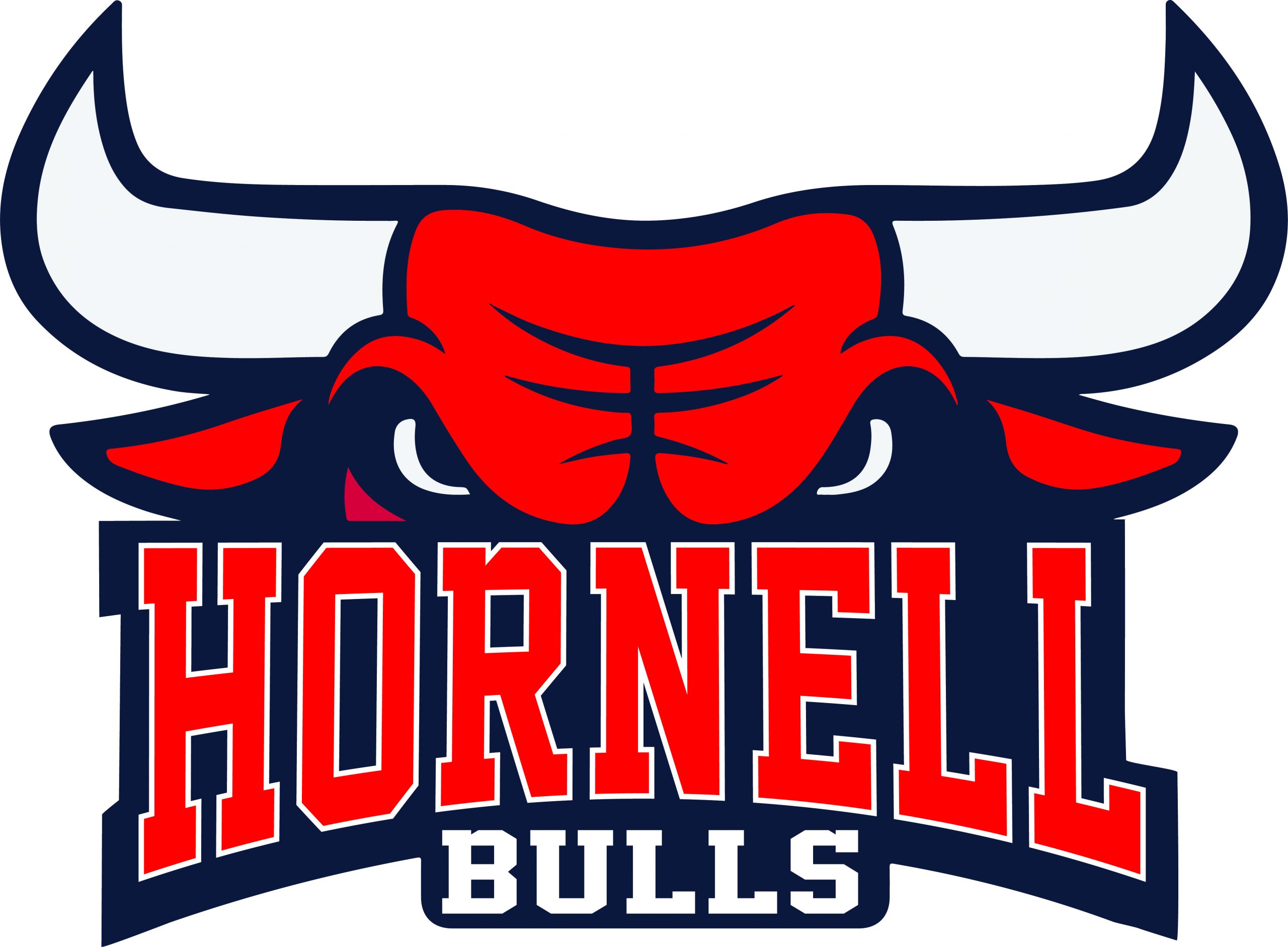 Hornell Bulls Latest Entry into ABA