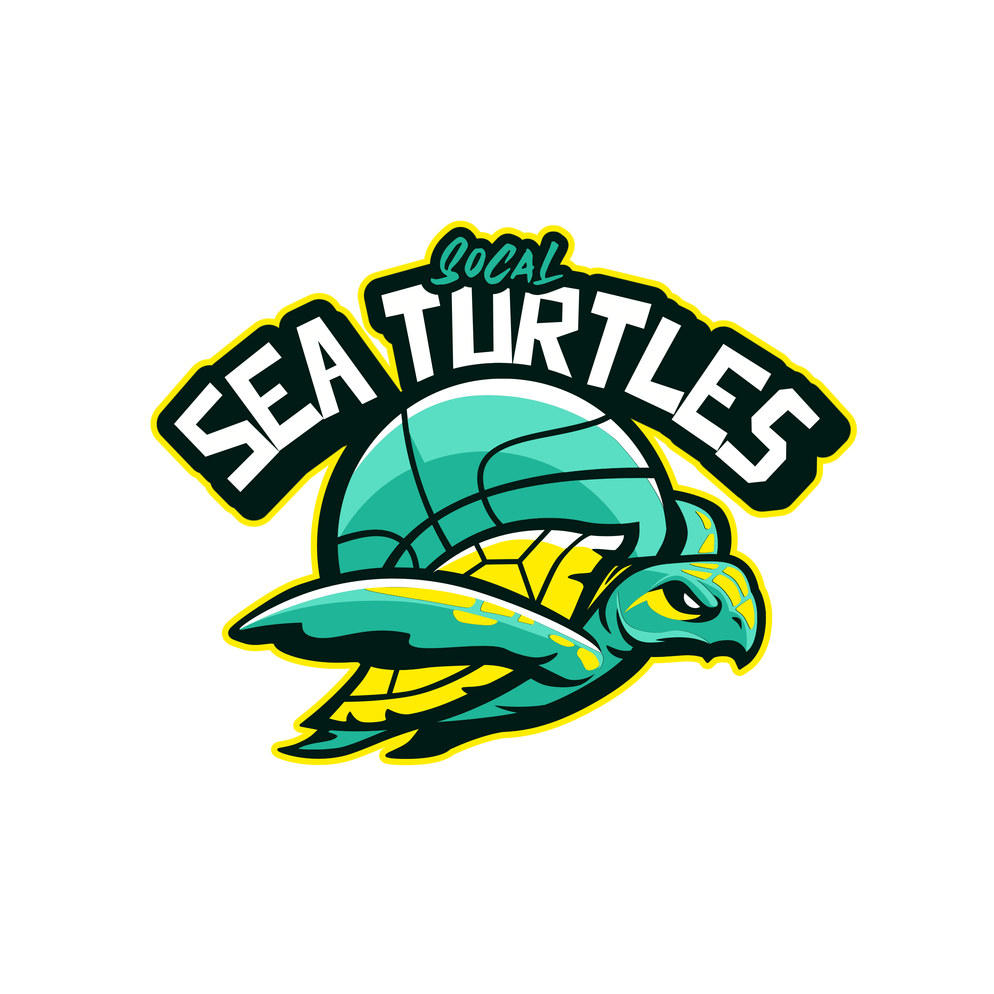 SOCAL SEA TURTLES ADDED TO ABA 2023-2024 EXPANSION
