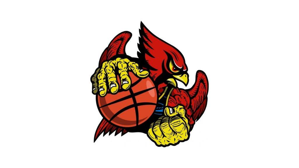 WINSTON-SALEM CARDINALS FLYING INTO ABA NEXT SEASON